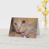 何?!あなたは古い?! カード (黄色い花)