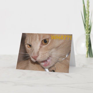 何?!あなたは古い?! カード