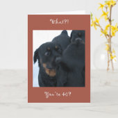 何?!あなたは40？誕生日カード カード (黄色い花)