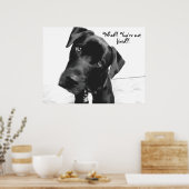 何?!あなたは、固定?! ポスター (キッチン)