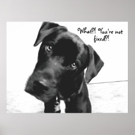 何?!あなたは、固定?! ポスター