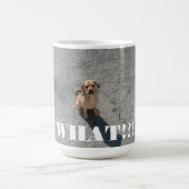 "何!か。!" マグ (中央)