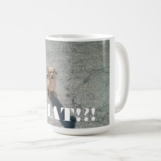 "何!か。!" マグ (正面右)