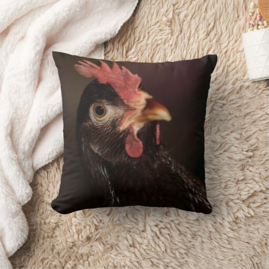 何？ クッション (ブランケット)