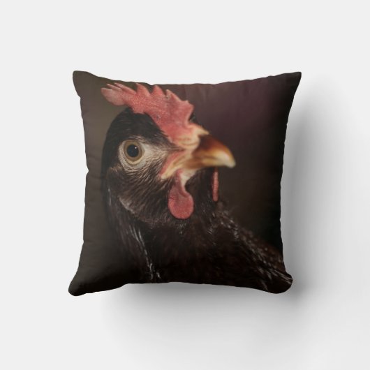 何？ クッション (裏面)