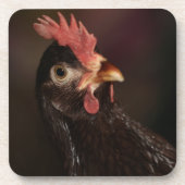 何 コースター (正面)