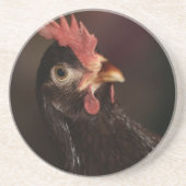 何？ コースター (正面)