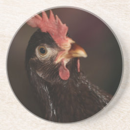 何？ コースター