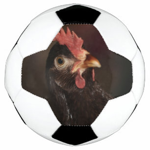 何? サッカーボール