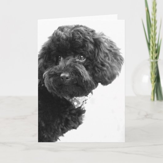 何? シーズンカード (正面)