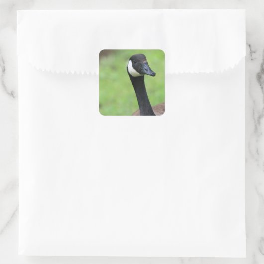 何? スクエアシール (バッグ)