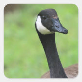 何？ スクエアシール (正面)