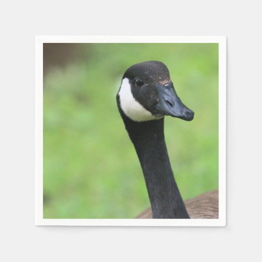 何？ スタンダードカクテルナプキン (正面)