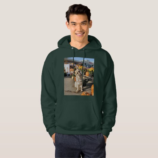 何？ パーカ (正面フル)