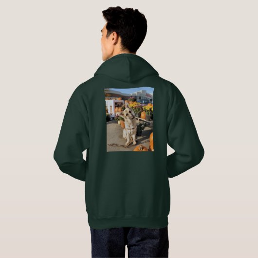 何？ パーカ (裏面フル)