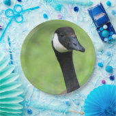 何？ ペーパープレート (パーティー)