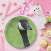 何？ ペーパープレート (パーティー)