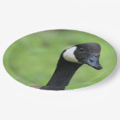 何？ ペーパープレート (アングル)