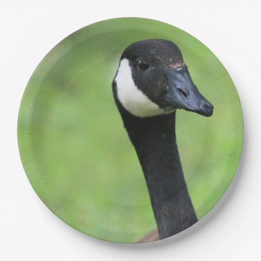 何？ ペーパープレート (正面)