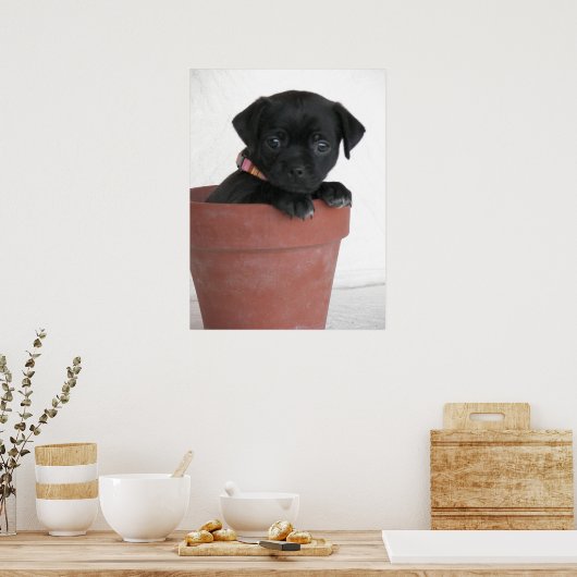 何？ ポスター (キッチン)