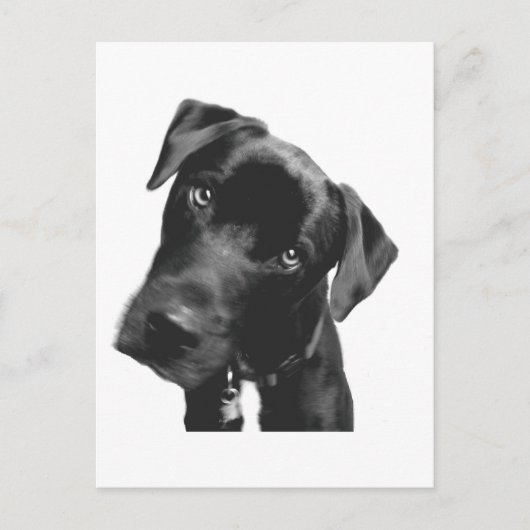 何? ポストカード (正面)