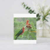 何？ ポストカード (スタンド正面)