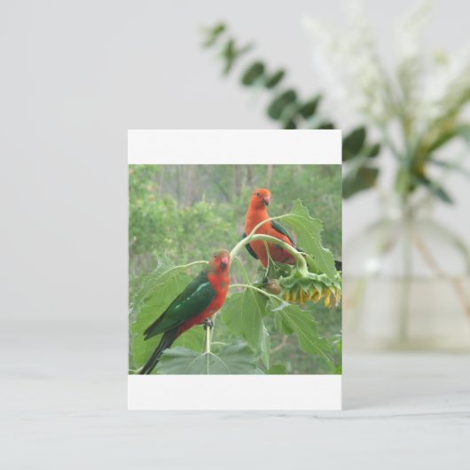 何？ ポストカード (スタンド正面)