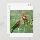 何？ ポストカード (正面/裏面)