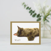 何?! ポストカード (スタンド正面)