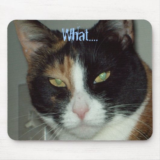 何…. マウスパッド (正面)