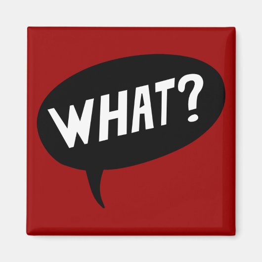 何？ マグネット (正面)