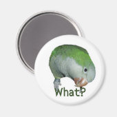 何？ マグネット (正面/裏面)