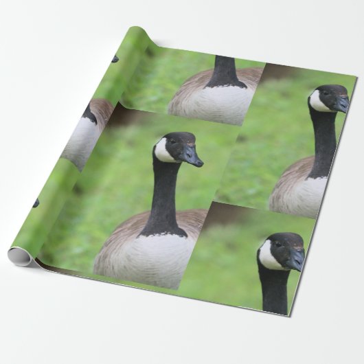 何 ラッピングペーパー (アンロールド)