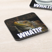 何!?伊グアナ コースター (左側)