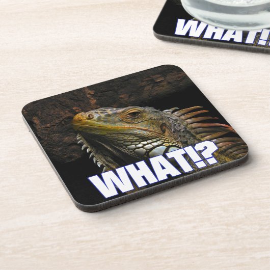 何!?伊グアナ コースター (左側)