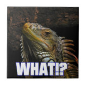 何!?伊グアナ タイル (正面)