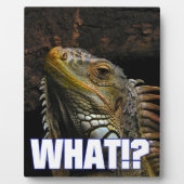 何!?伊グアナ フォトプラーク (正面)