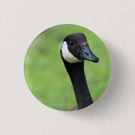 何？ 缶バッジ (正面)