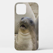 何??? Case-Mate iPhoneケース (裏面)