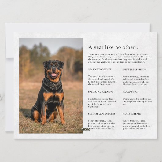 何A年新聞の家族ペットのクリスマスフォト シーズンカード (裏面)