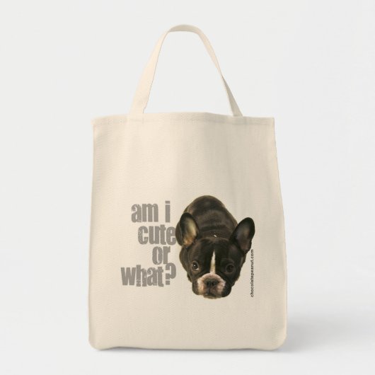 余りにかわいい2バッグを運ぶため トートバッグ (正面)