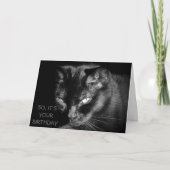 余りに古い猫を食べ物を与えるためか。 カード (正面)