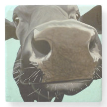 「余りに近くComfortのために