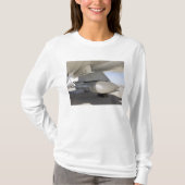 余剰海軍フェニックスミサイル Tシャツ (正面)