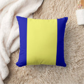 作り直された1つ クッション (ブランケット)