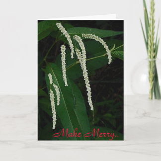 作メリーる シーズンカード