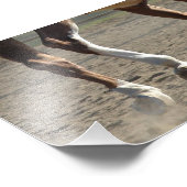 作動中のフーブ フォトプリント            (角)