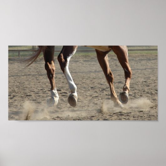 作動中のフーブ ポスター (正面)