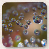 作動中の水 コースター (正面)