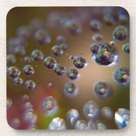 作動中の水 コースター (正面)